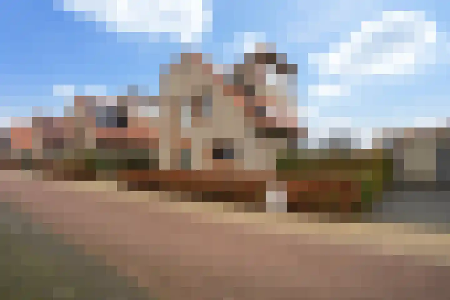 Gouden Boaijum 14 L Heeg thumbnail 53