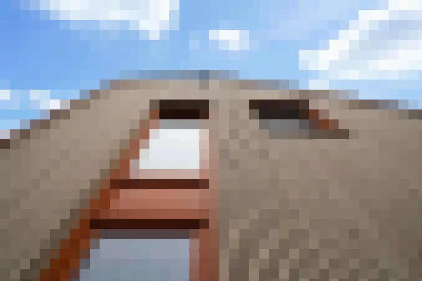 Gouden Boaijum 14 L Heeg thumbnail 56