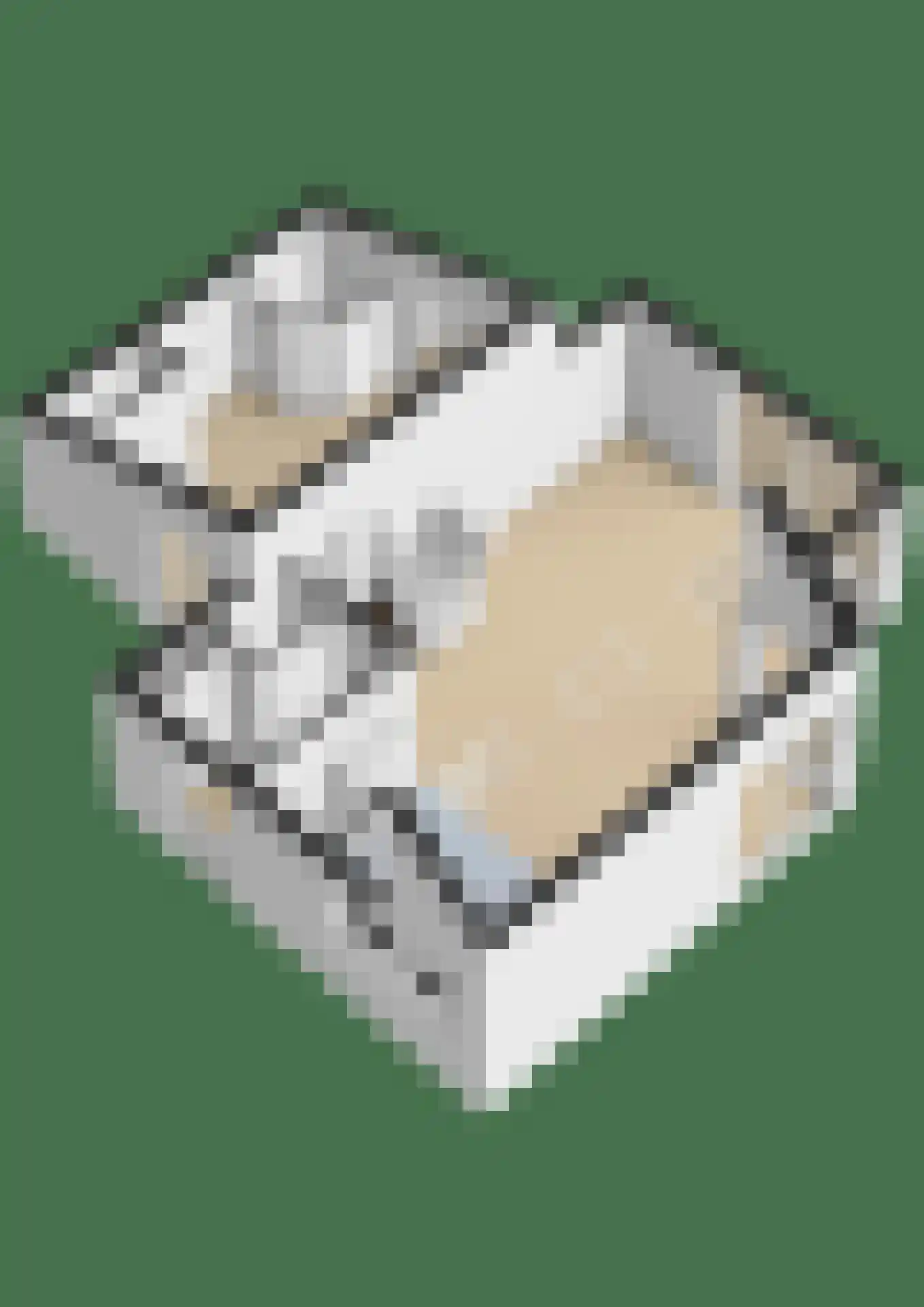Gouden Boaijum 14 L Heeg thumbnail 61