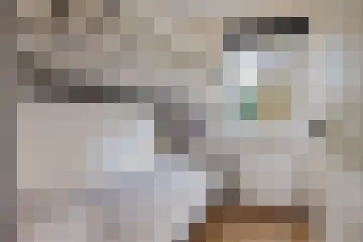 Gouden Boaijum 154 Heeg thumbnail 15