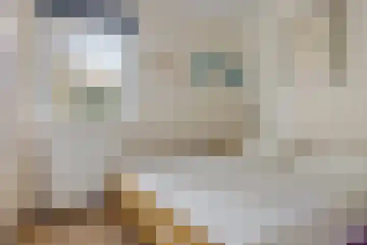 Gouden Boaijum 154 Heeg thumbnail 16