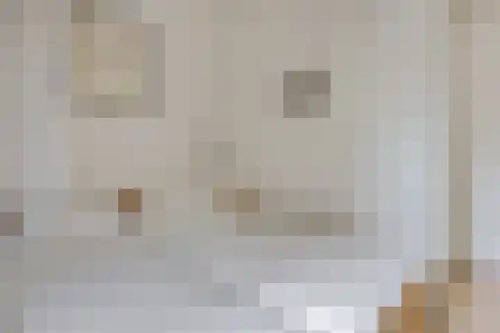 Gouden Boaijum 154 Heeg thumbnail 17