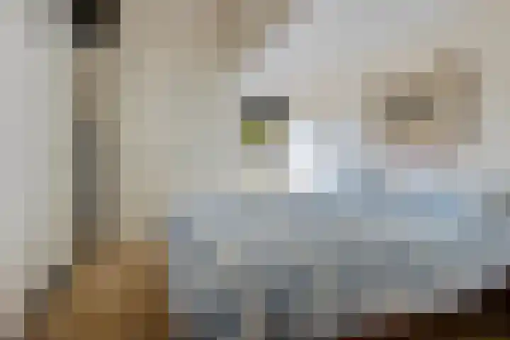Gouden Boaijum 154 Heeg thumbnail 18