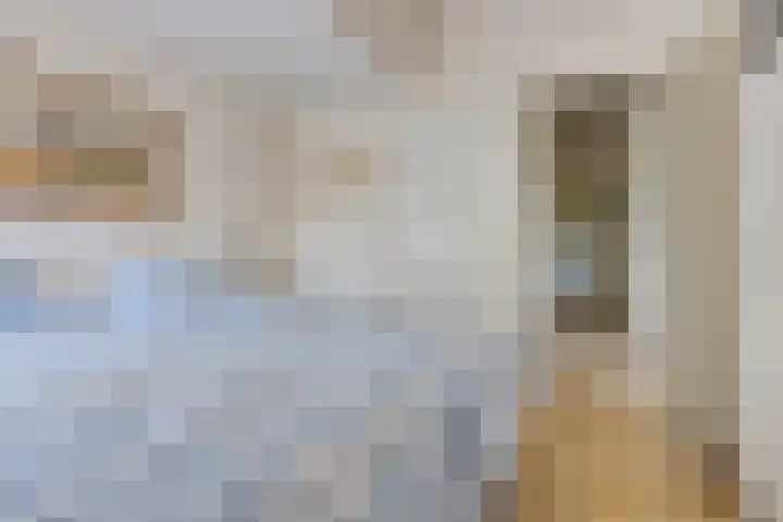 Gouden Boaijum 154 Heeg thumbnail 19