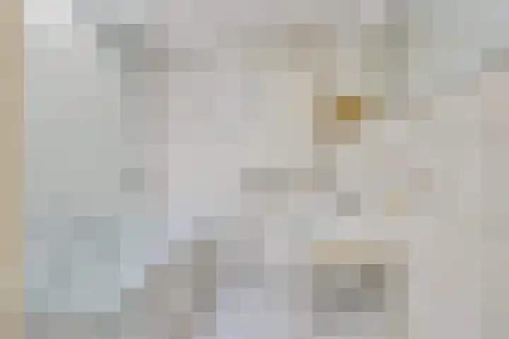 Gouden Boaijum 154 Heeg thumbnail 21