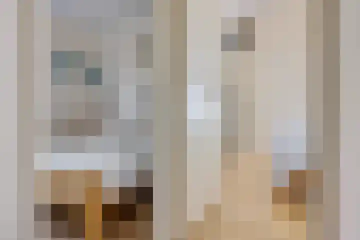 Gouden Boaijum 154 Heeg thumbnail 23