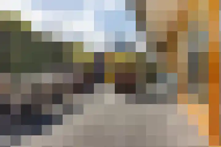 Gouden Boaijum 154 Heeg thumbnail 27