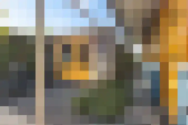 Gouden Boaijum 154 Heeg thumbnail 28