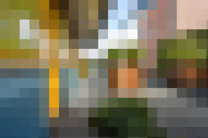 Gouden Boaijum 154 Heeg thumbnail 35