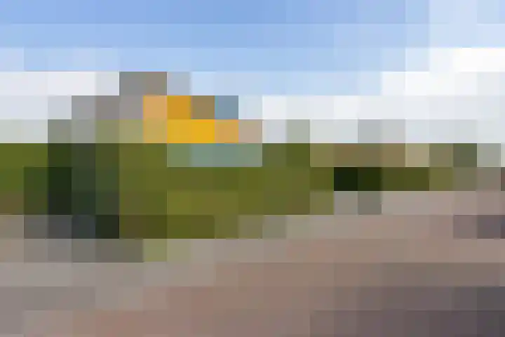 Gouden Boaijum 154 Heeg thumbnail 36