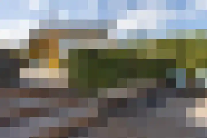 Gouden Boaijum 154 Heeg thumbnail 4