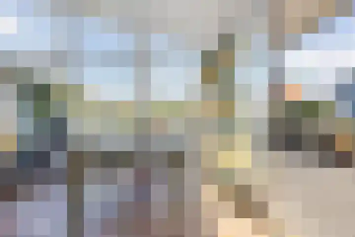 Gouden Boaijum 154 Heeg thumbnail 6