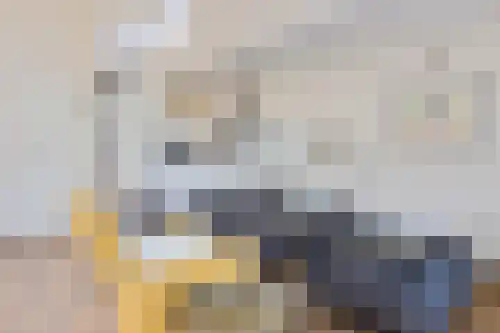 Gouden Boaijum 154 Heeg thumbnail 8