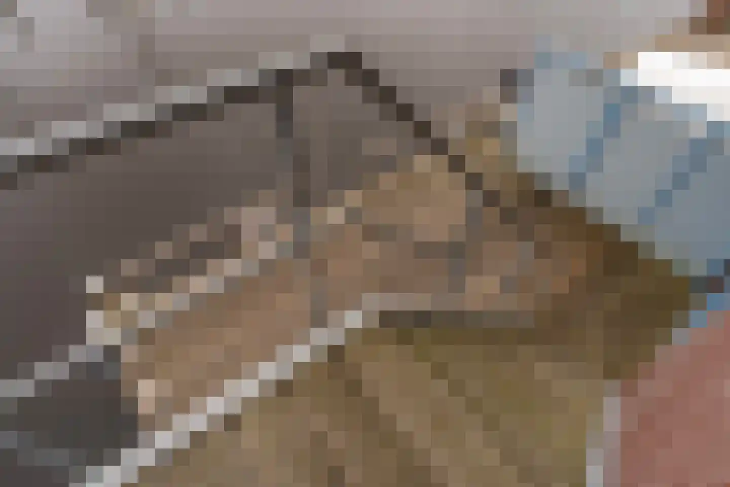 Gouden Boaijum 23 Heeg thumbnail 37