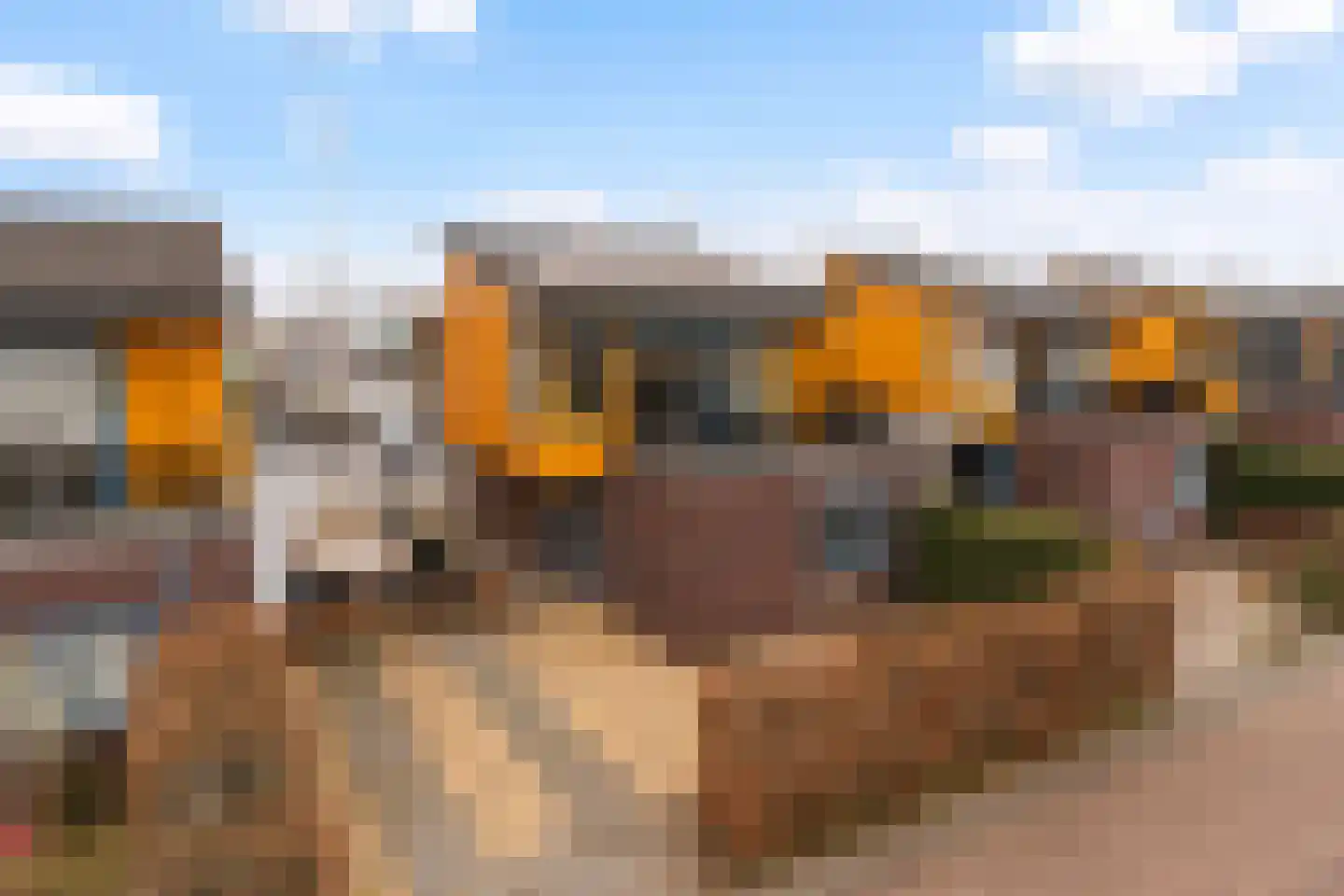 Gouden Boaijum 23 Heeg thumbnail 5