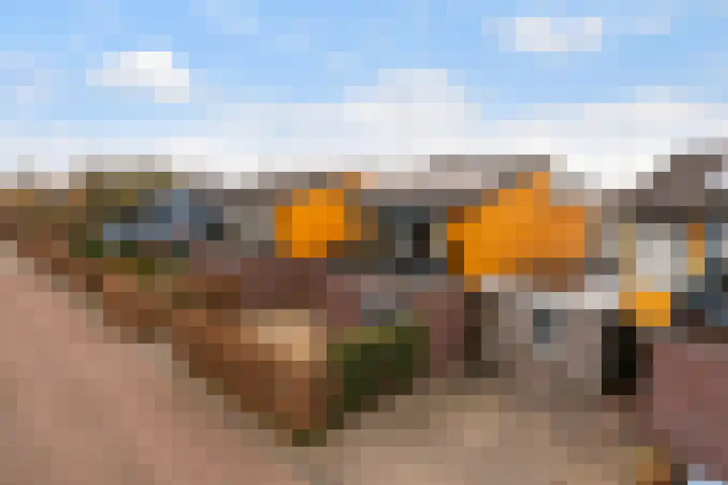 Gouden Boaijum 23 Heeg thumbnail 54