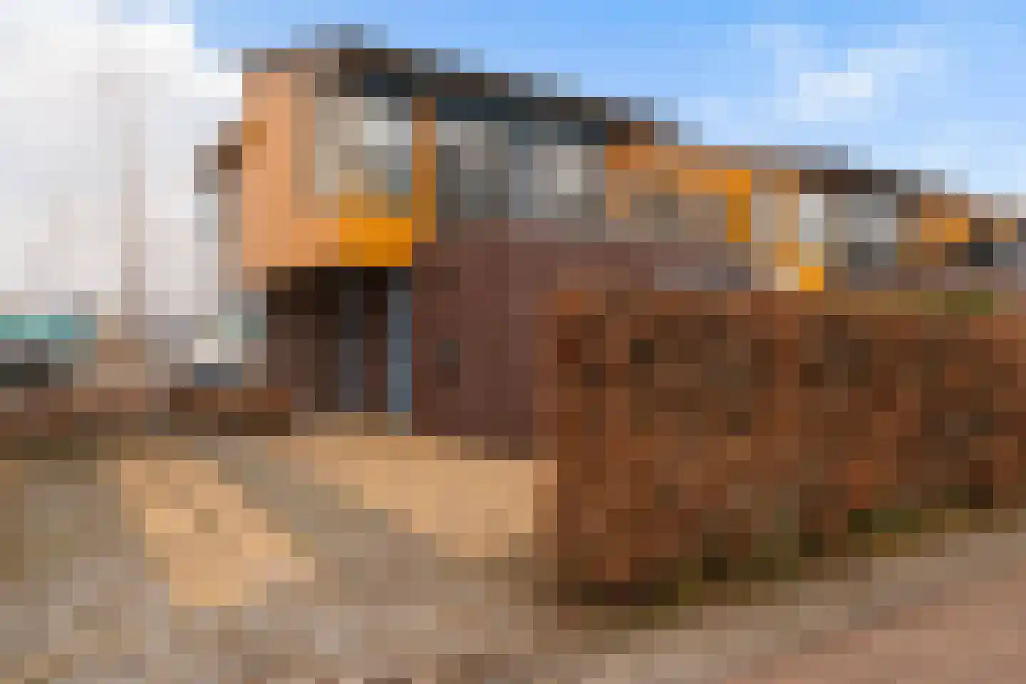 Gouden Boaijum 23 Heeg thumbnail 55