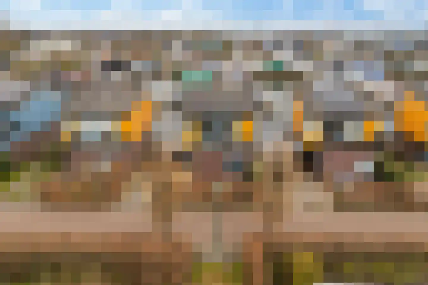 Gouden Boaijum 23 Heeg thumbnail 56
