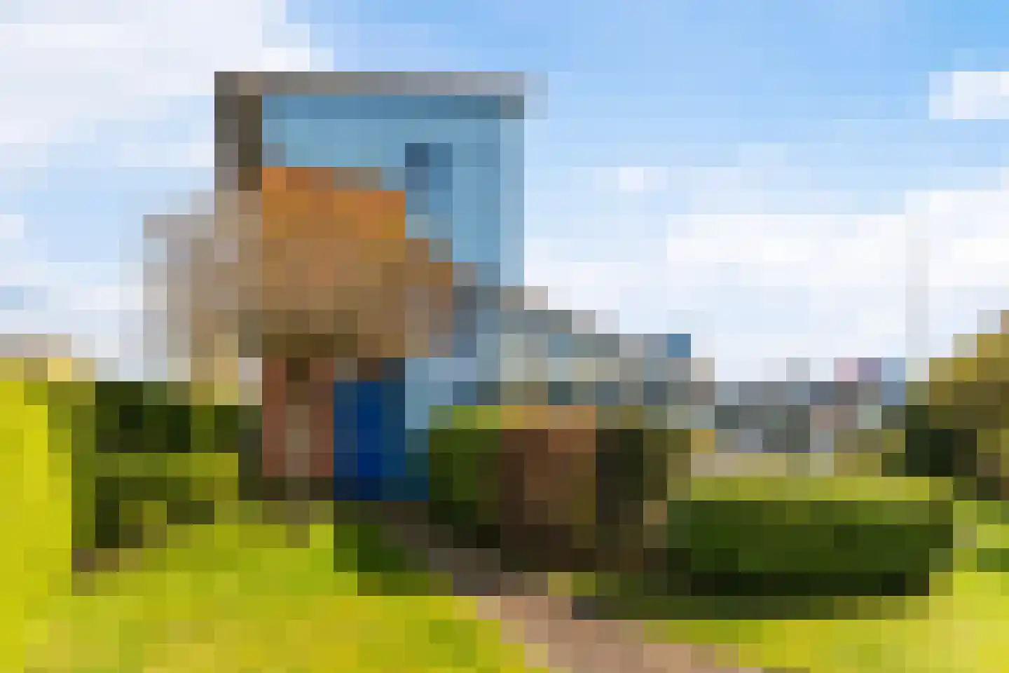 Gouden Boaijum 28 Heeg thumbnail 41