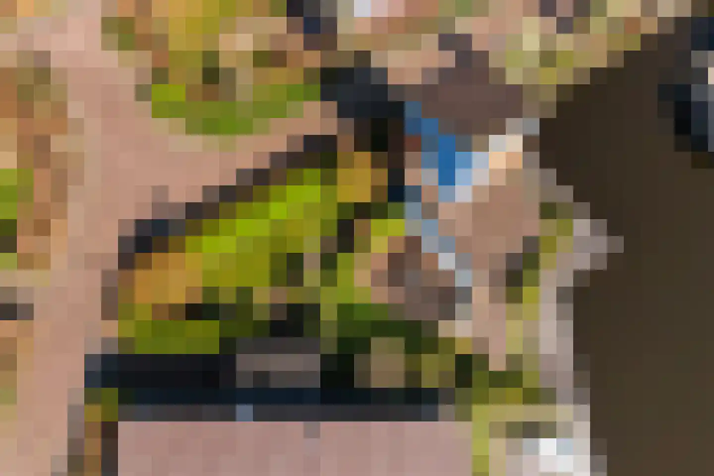 Gouden Boaijum 28 Heeg thumbnail 52