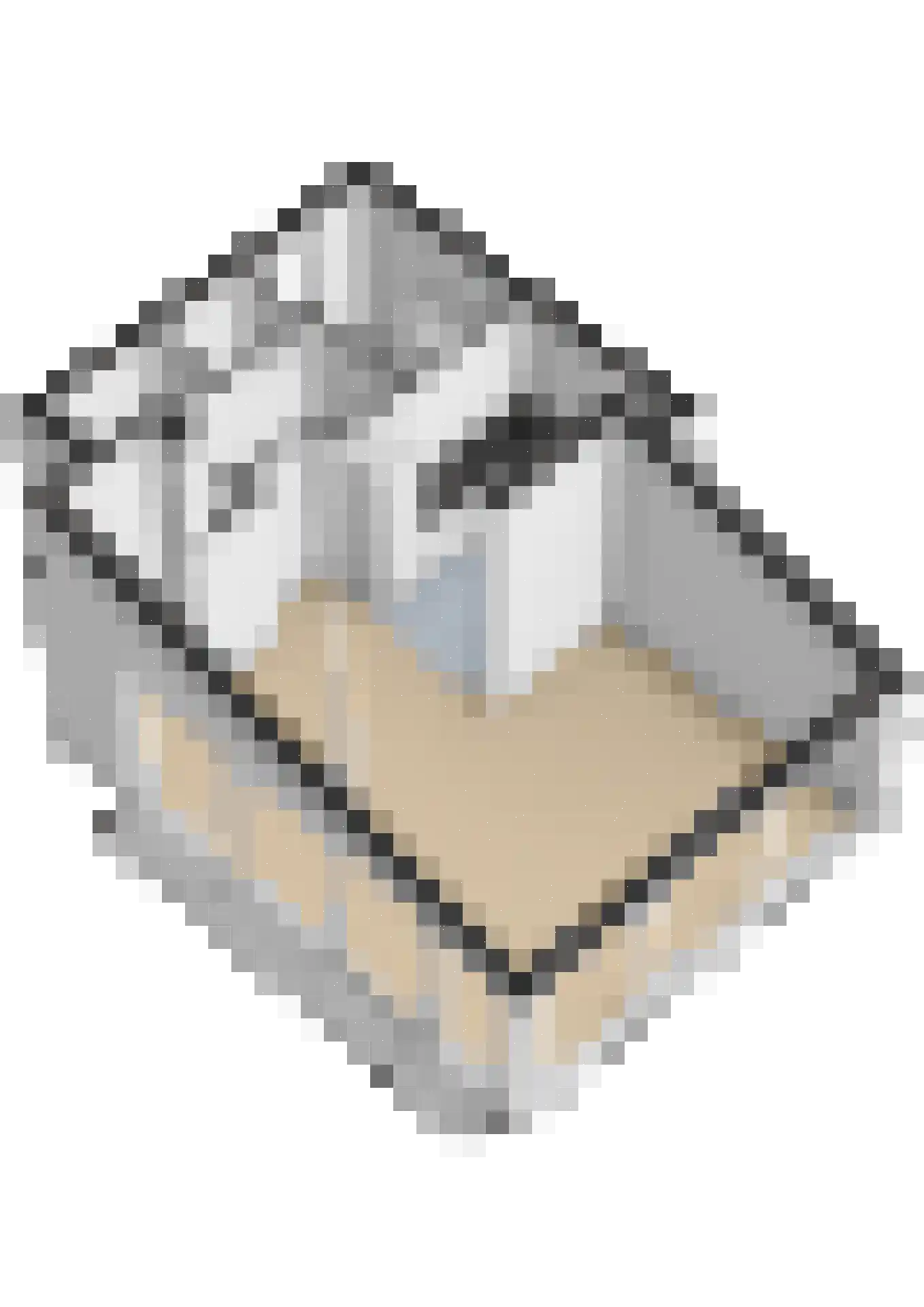 Gouden Boaijum 28 Heeg thumbnail 59
