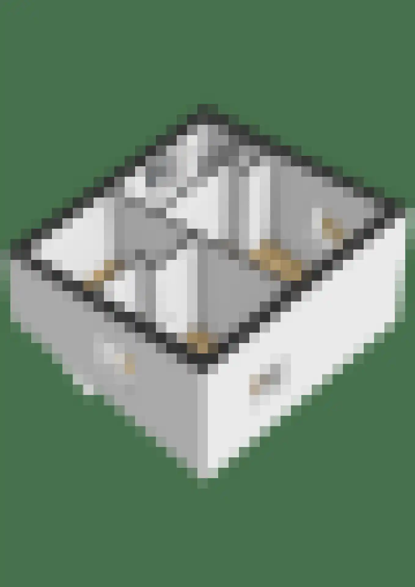 Gouden Boaijum 28 Heeg thumbnail 61