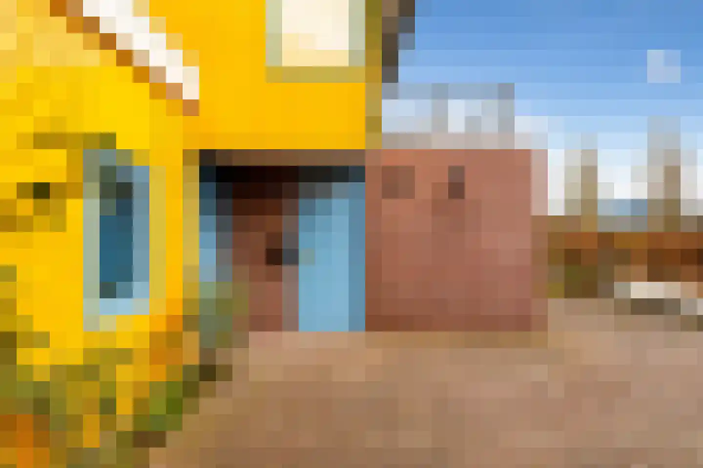 Gouden Boaijum 35 Heeg thumbnail 10