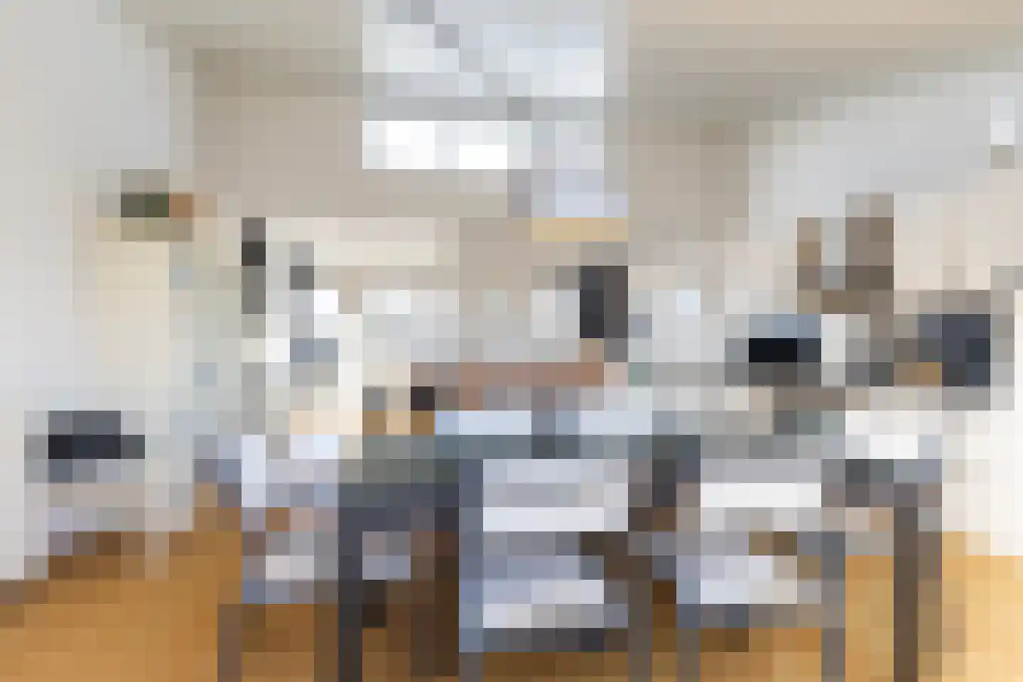 Gouden Boaijum 35 Heeg thumbnail 20