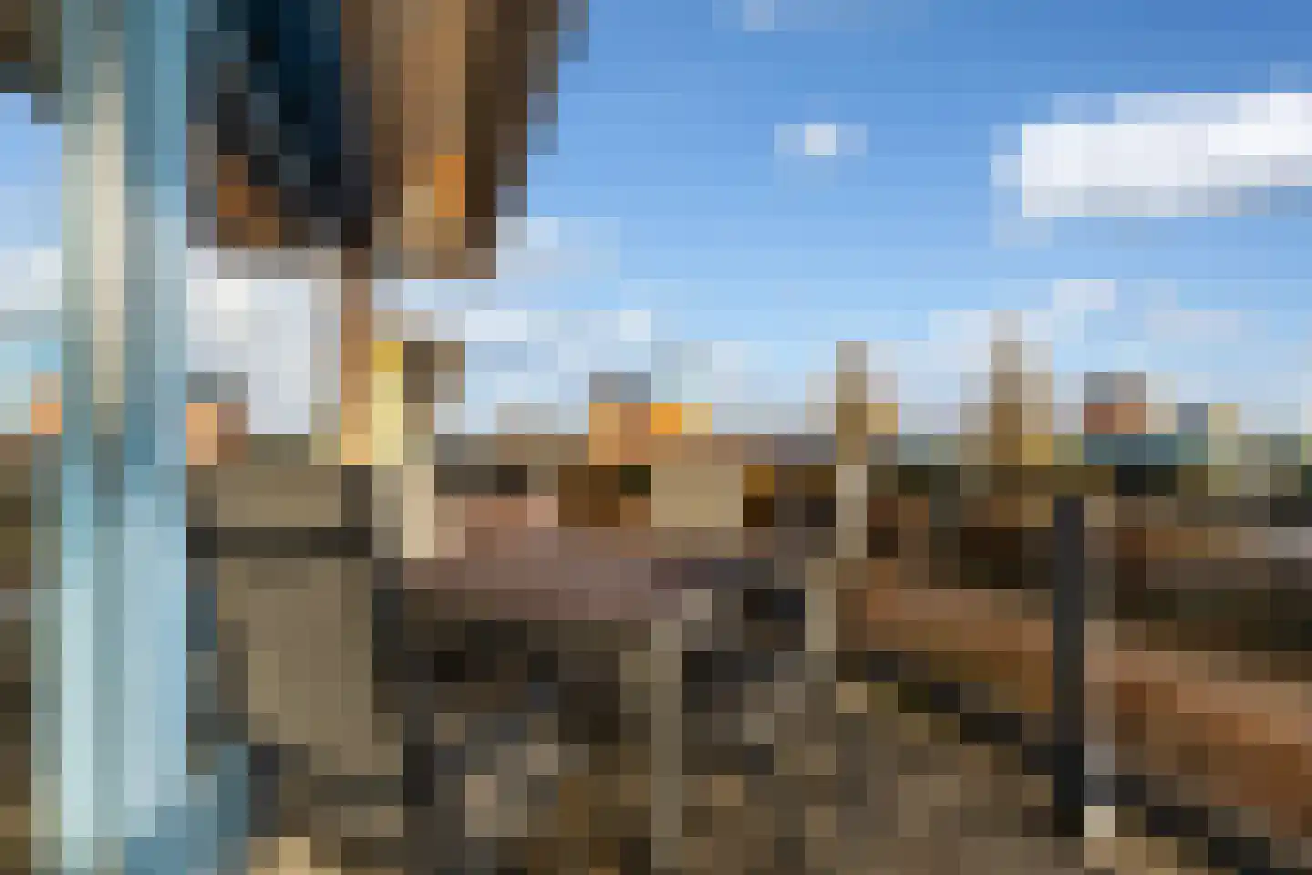 Gouden Boaijum 35 Heeg thumbnail 30