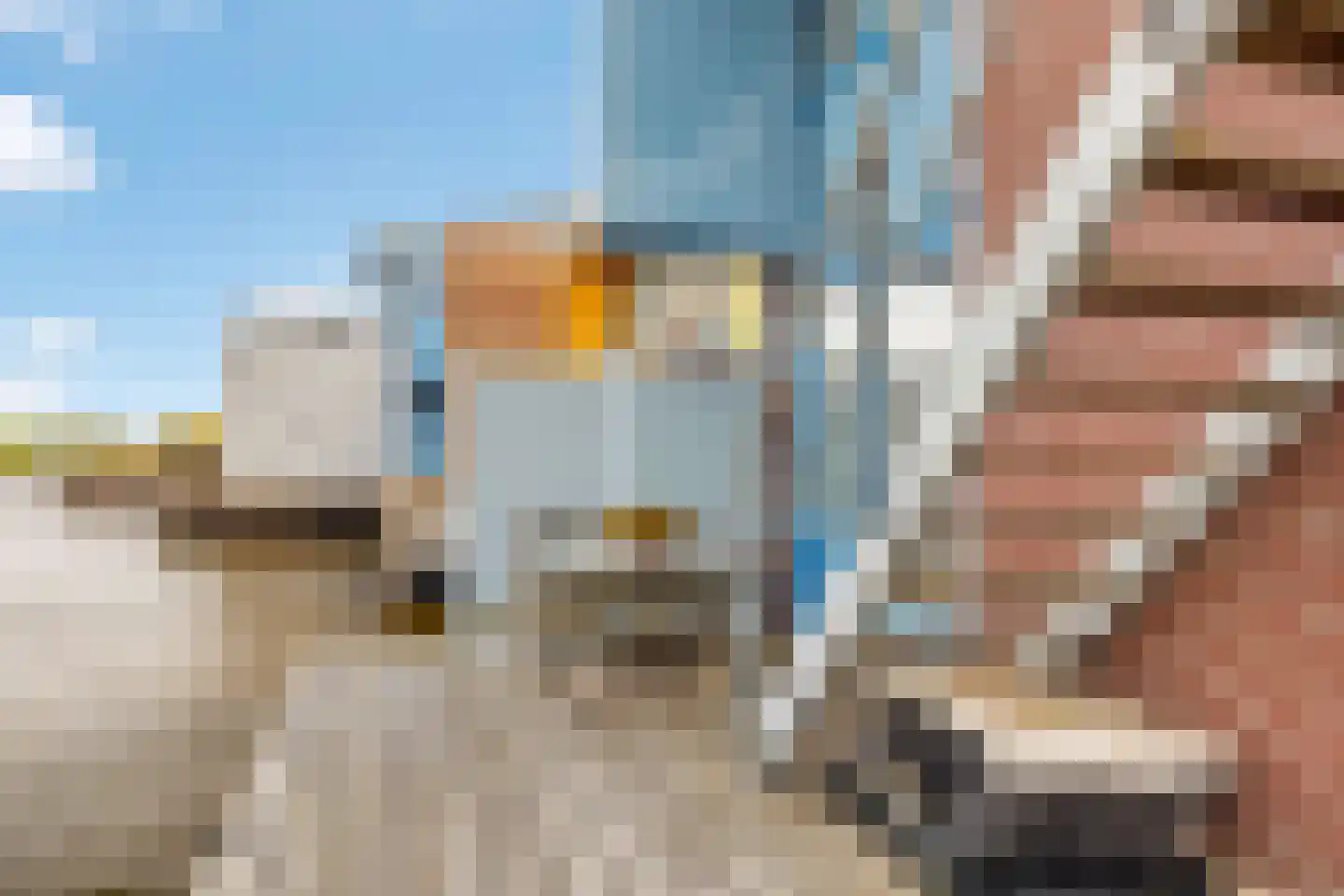 Gouden Boaijum 45 Heeg thumbnail 27