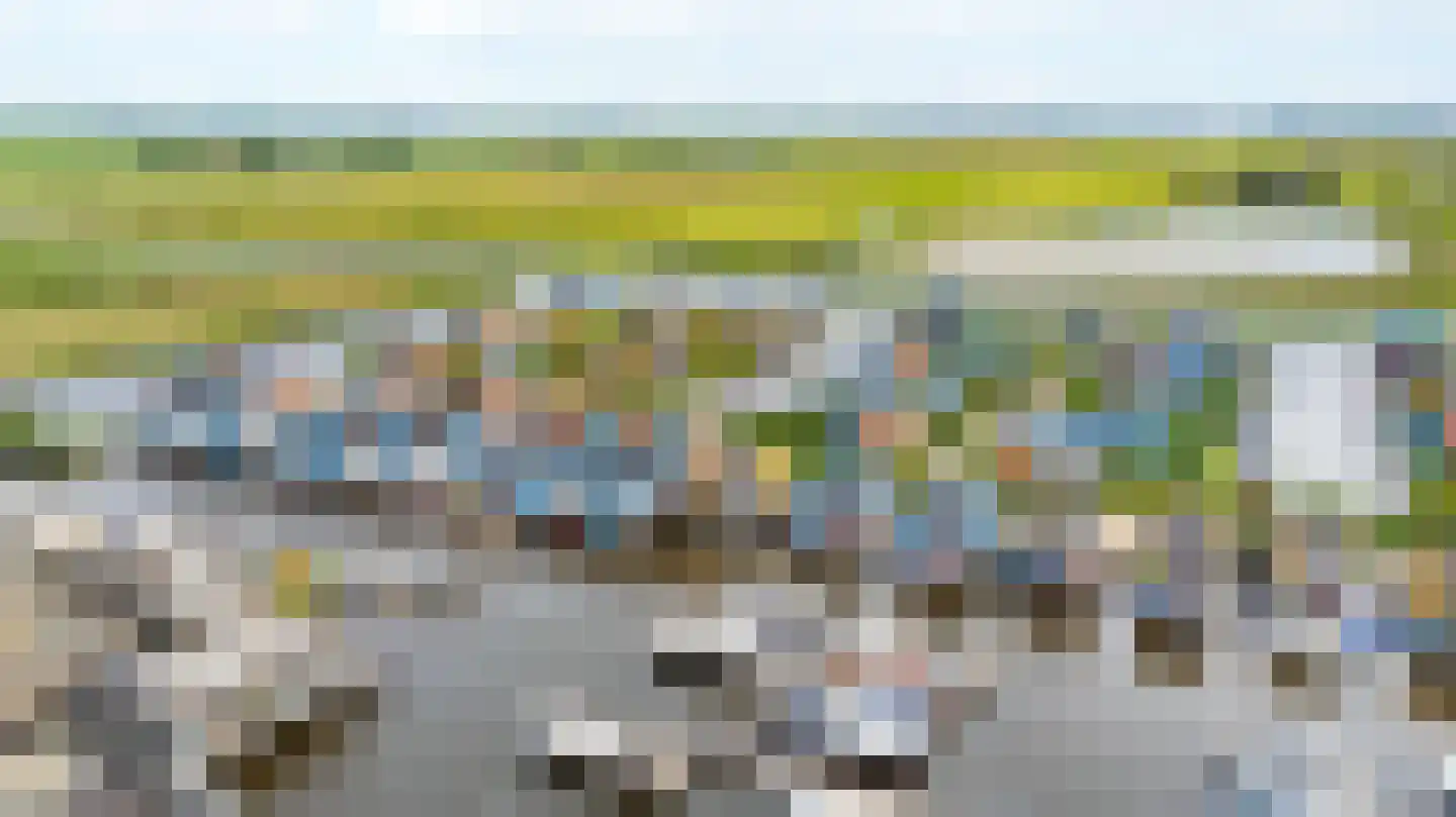 Gouden Boaijum 45 Heeg thumbnail 32