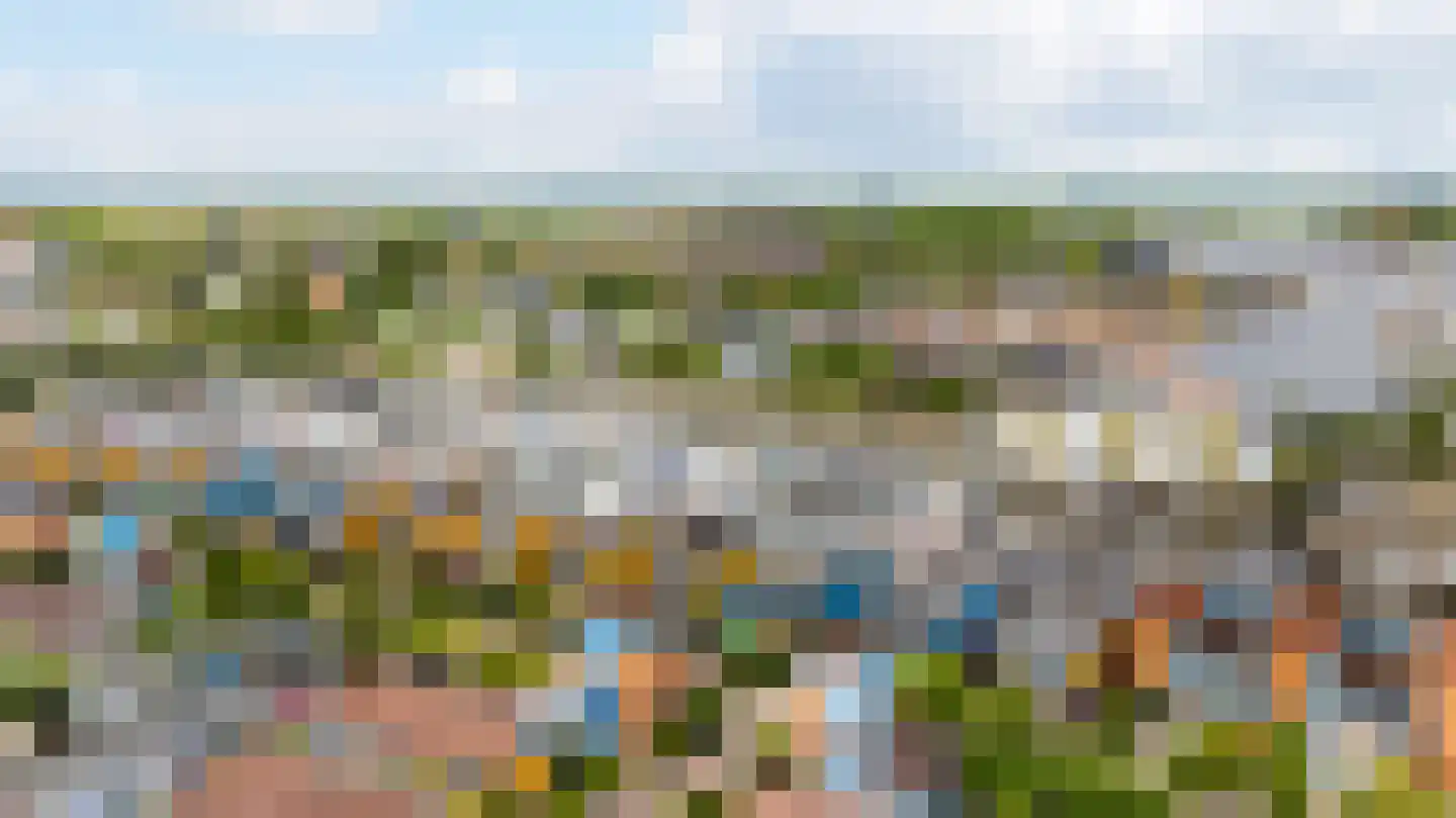 Gouden Boaijum 45 Heeg thumbnail 33