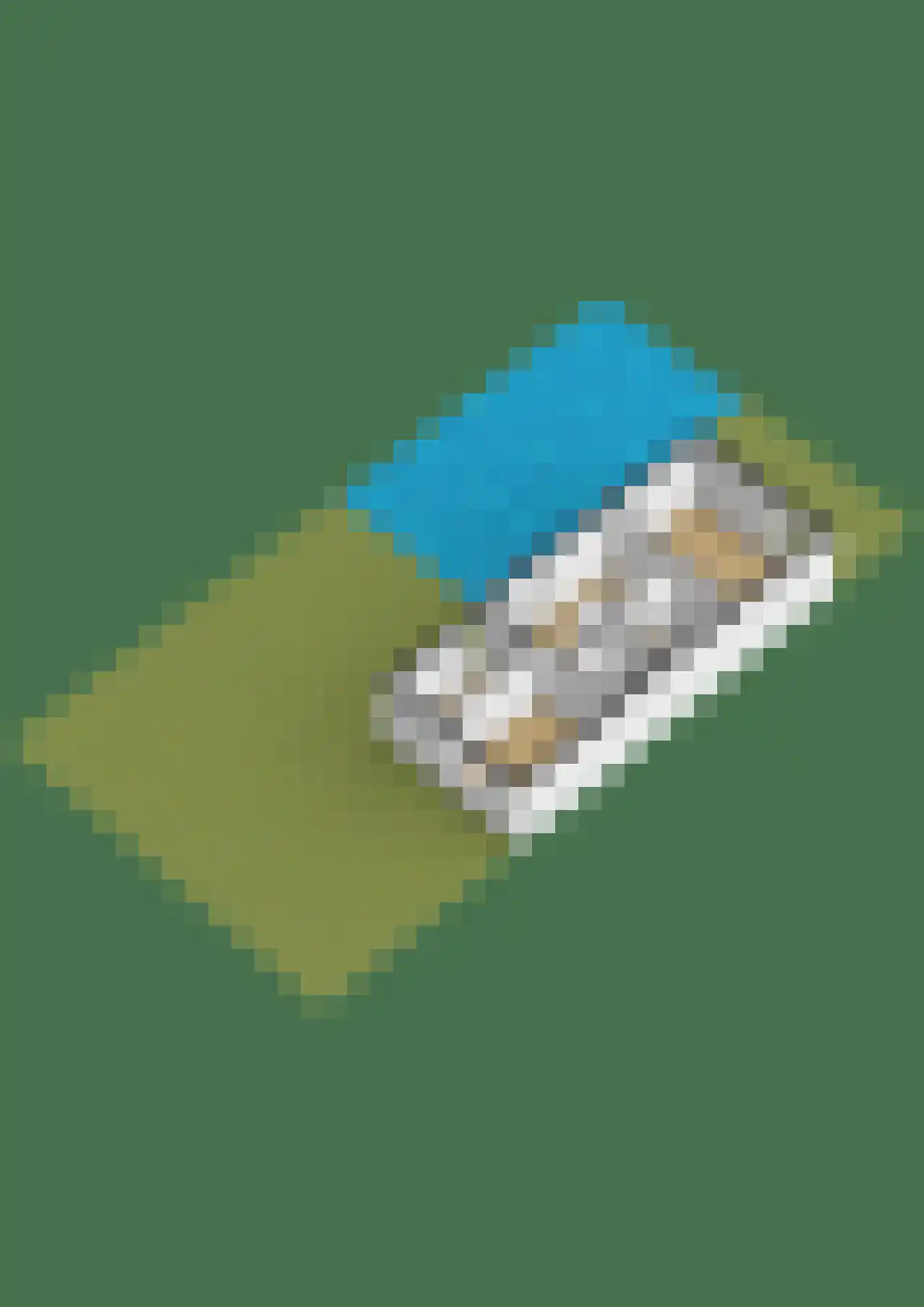 Gouden Boaijum 45 Heeg thumbnail 41