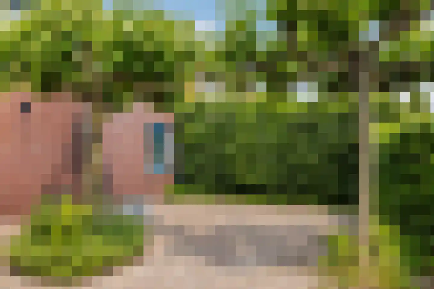 Gouden Boaijum 45 Heeg thumbnail 6