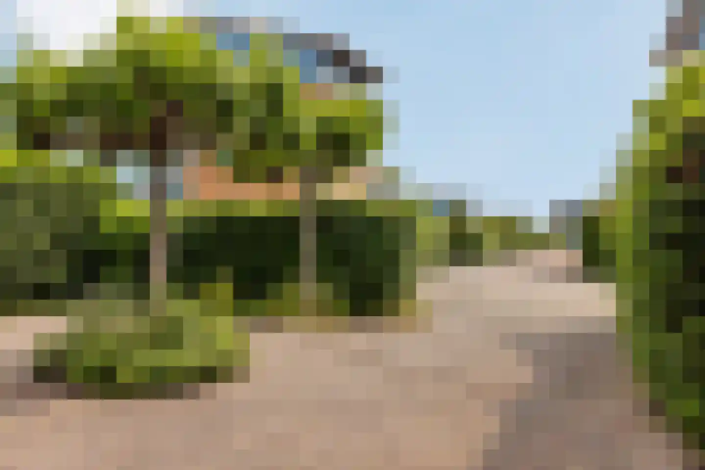 Gouden Boaijum 45 Heeg thumbnail 7