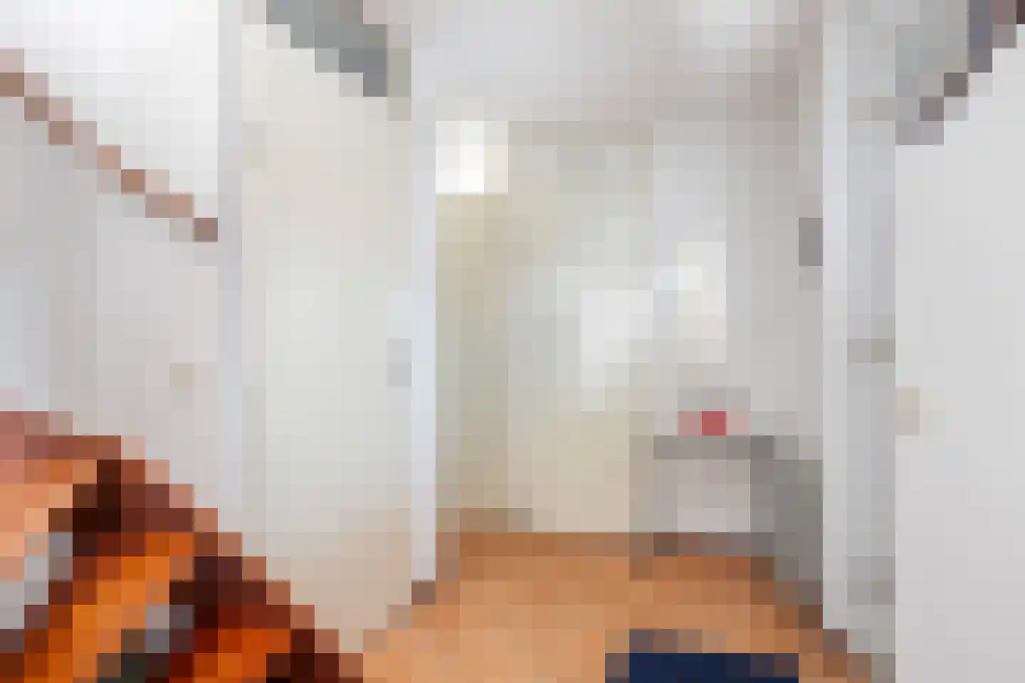 Gouden Boaijum 45 Heeg thumbnail 8