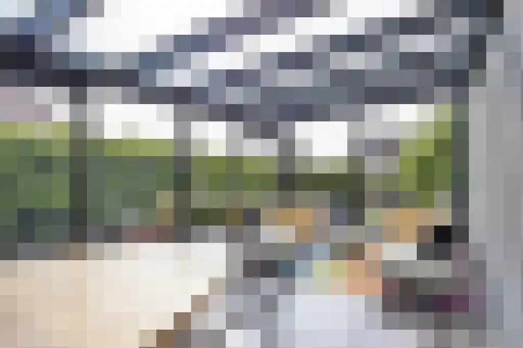Gouden Boers 28 Sneek thumbnail 20