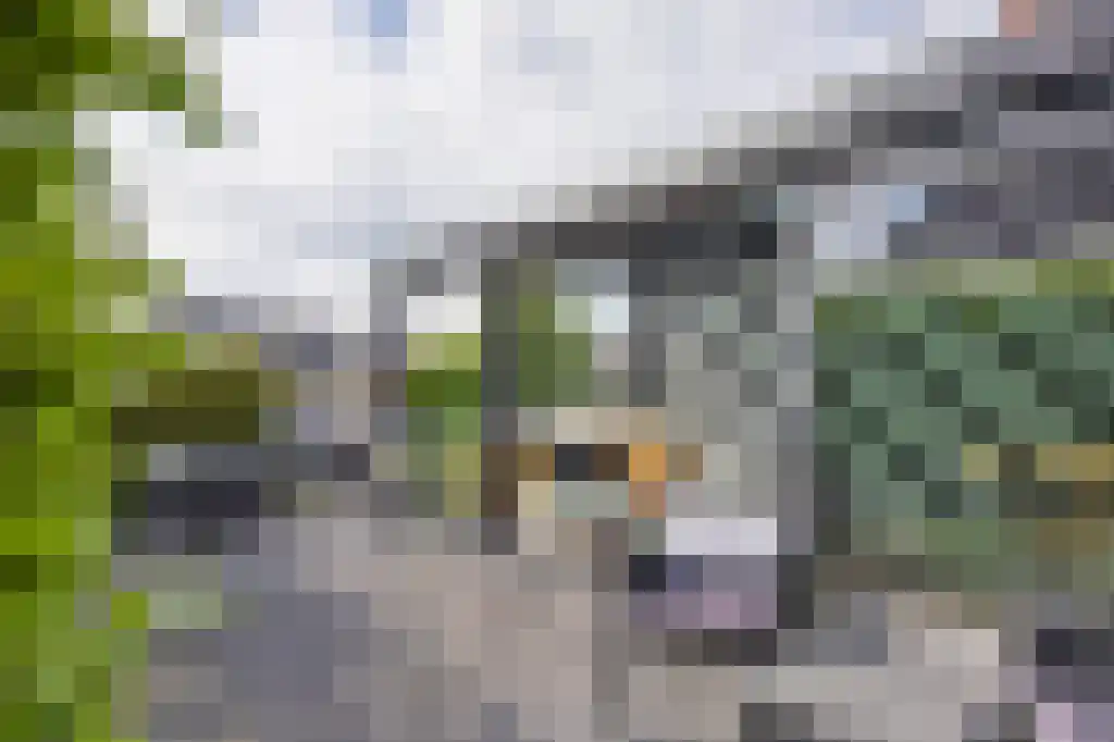 Gouden Boers 28 Sneek thumbnail 22