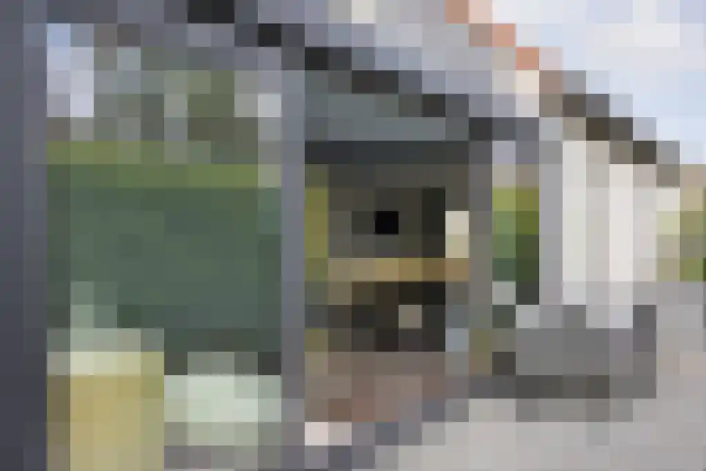 Gouden Boers 28 Sneek thumbnail 25
