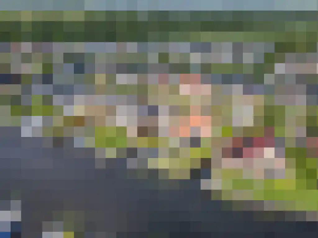 Gouden Boers 28 Sneek thumbnail 4