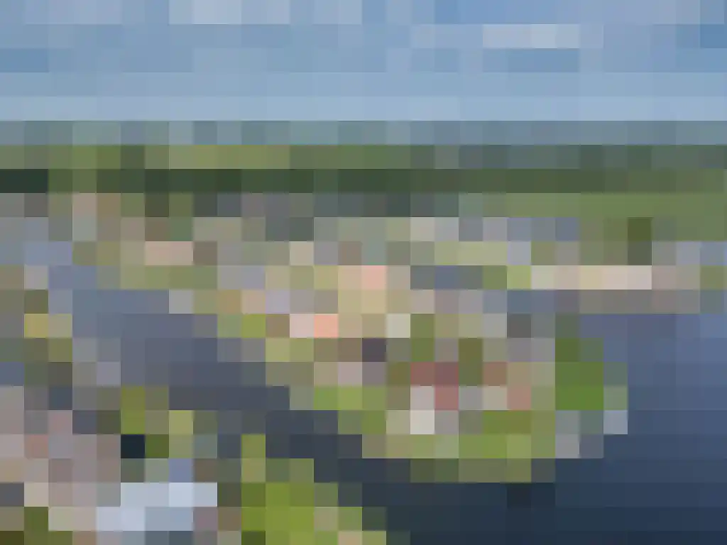 Gouden Boers 28 Sneek thumbnail 5