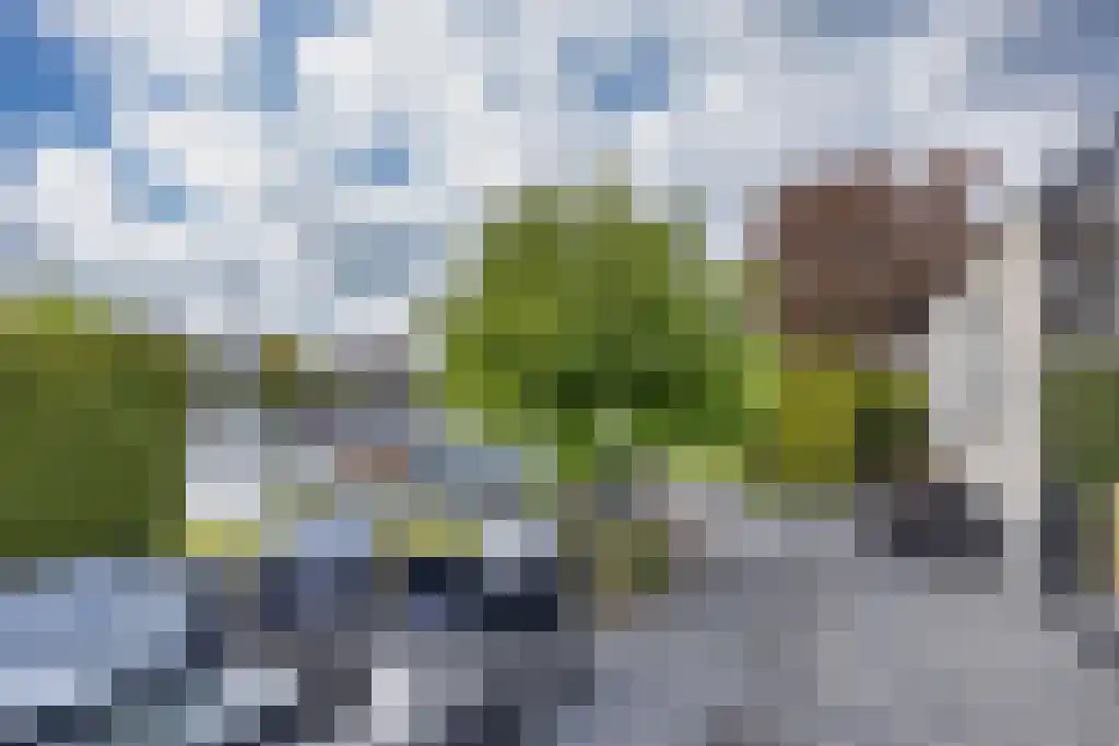 Gouden Boers 28 Sneek thumbnail 53