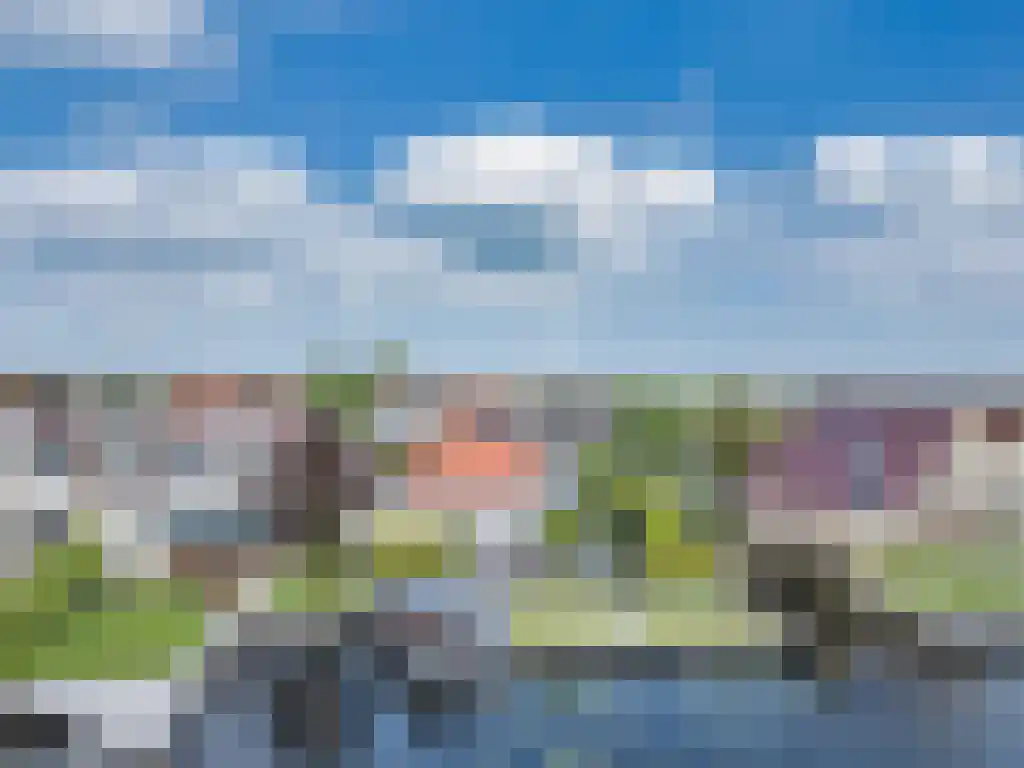 Gouden Boers 28 Sneek thumbnail 55