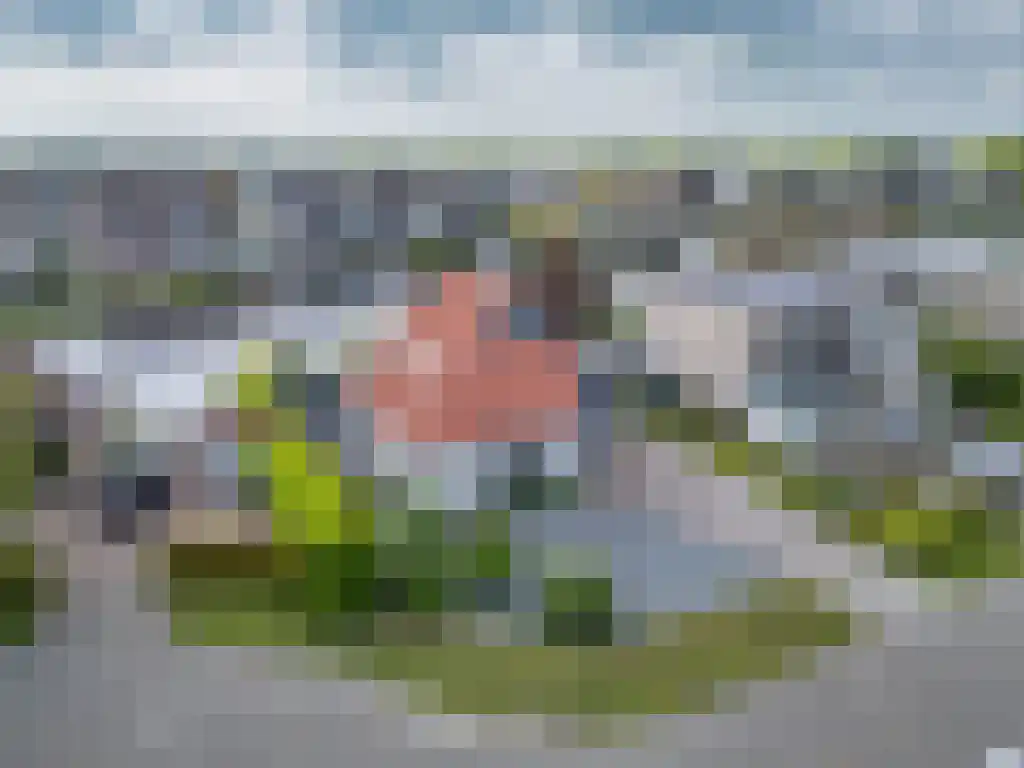 Gouden Boers 28 Sneek thumbnail 56