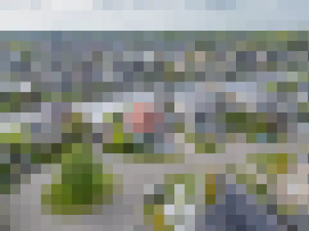 Gouden Boers 28 Sneek thumbnail 61