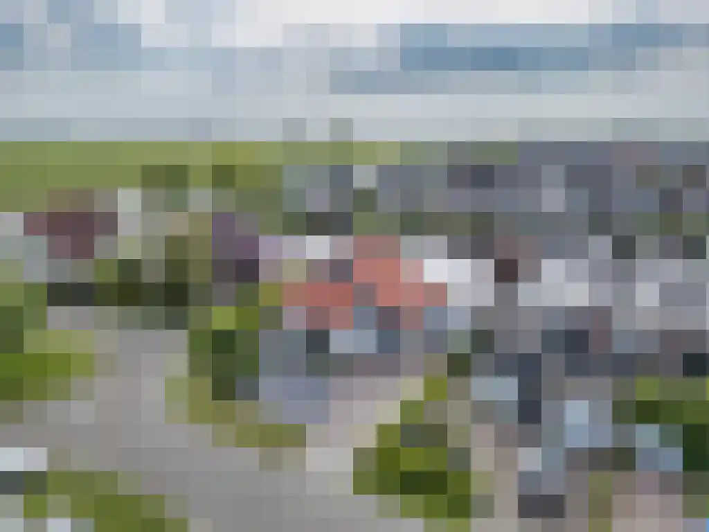 Gouden Boers 28 Sneek thumbnail 62