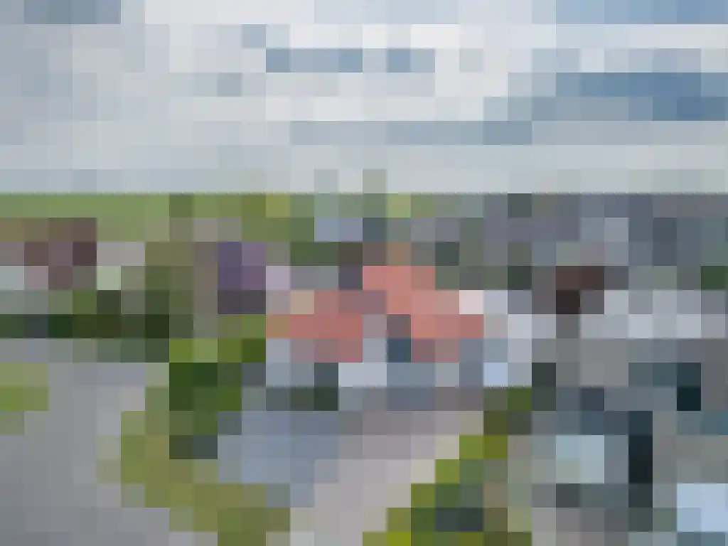 Gouden Boers 28 Sneek thumbnail 8