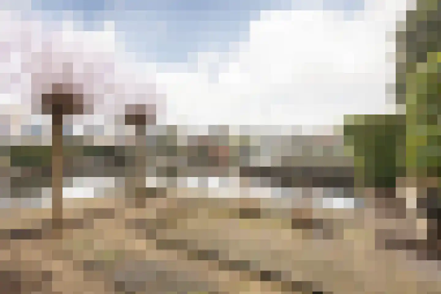 Gouden Boers 9 Sneek thumbnail 30