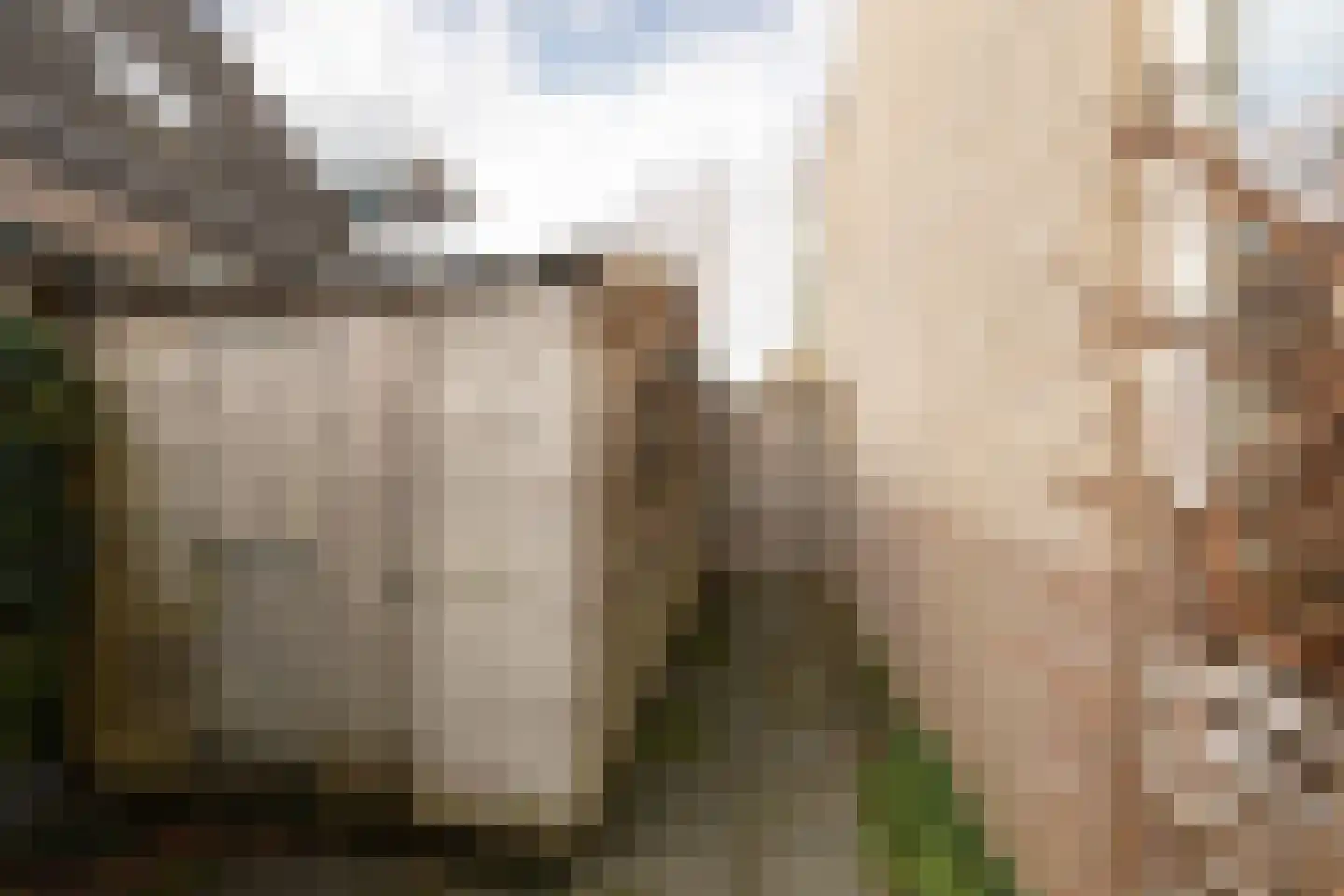 Gouden Boers 9 Sneek thumbnail 37