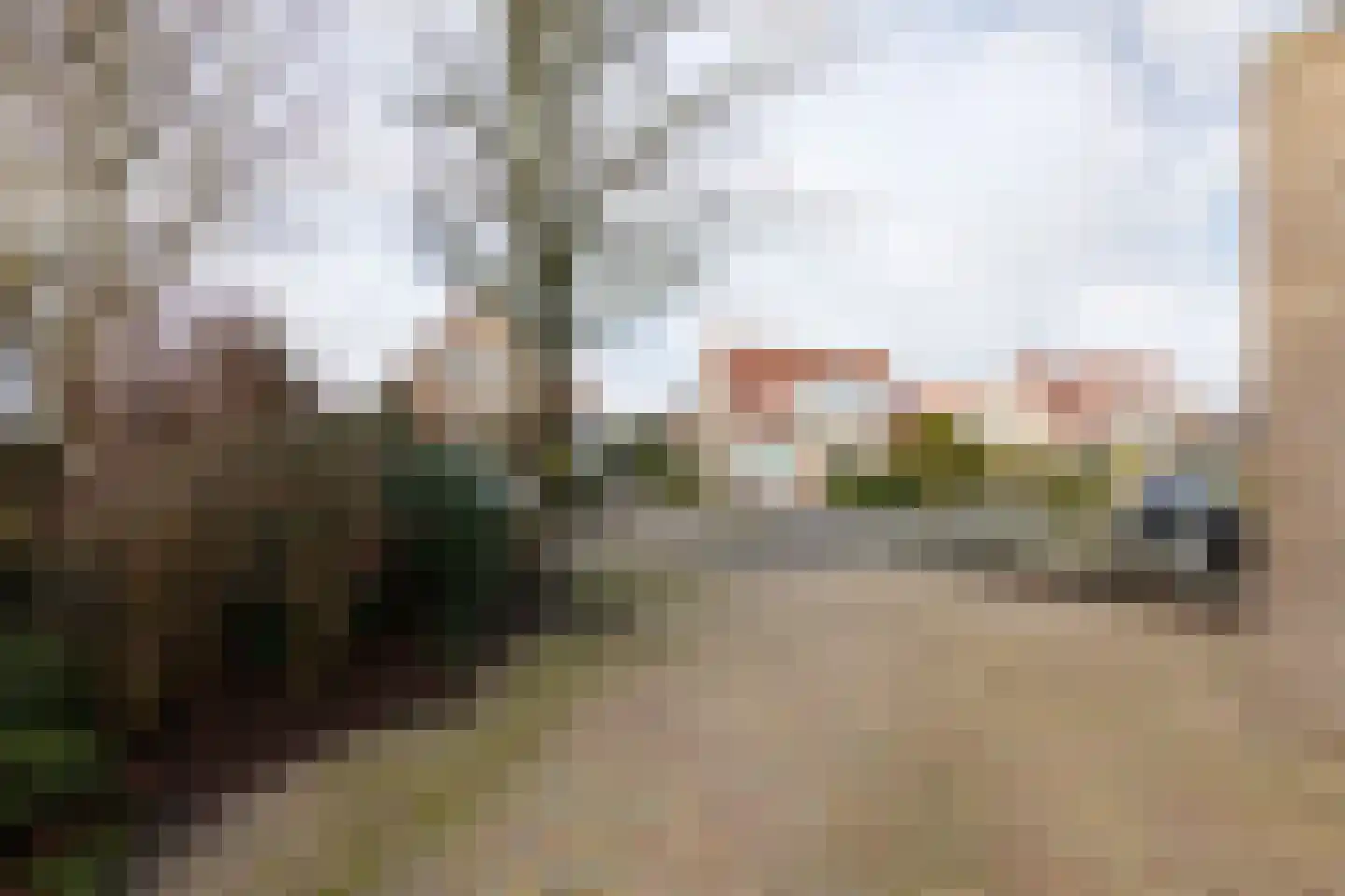 Gouden Boers 9 Sneek thumbnail 38